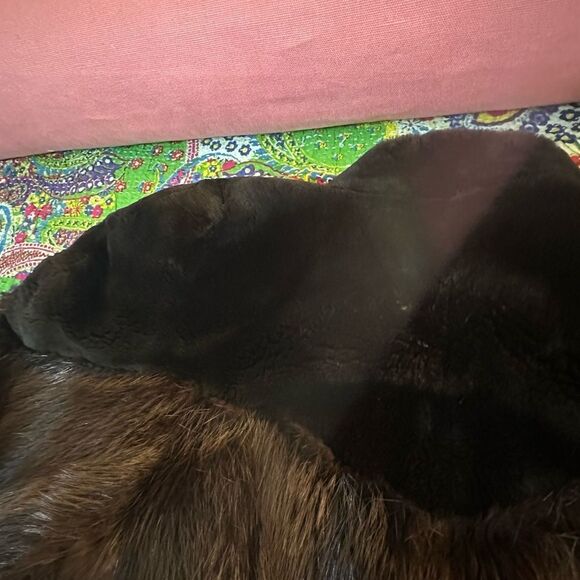 Pristine Condition Vintage Ceresnie and Offen Fur Coat ~Beaver - Picture 6 of 10